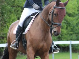 IMG_0311_web